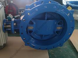DN100 PN10/PN16 Worm Gear Driven Flange Double Eccentric Butterfly Valve